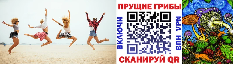 MEGA как зайти  Видное  Псилоцибиновые грибы прущие грибы 